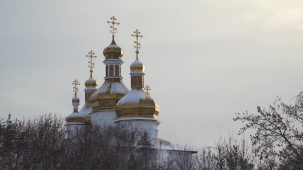 Большая, красивая церковь со снегом, лежащая на золотых куполах на ясном сером фоне неба. На складе. Зимний пейзаж собора, стоящего среди деревьев . — стоковое видео