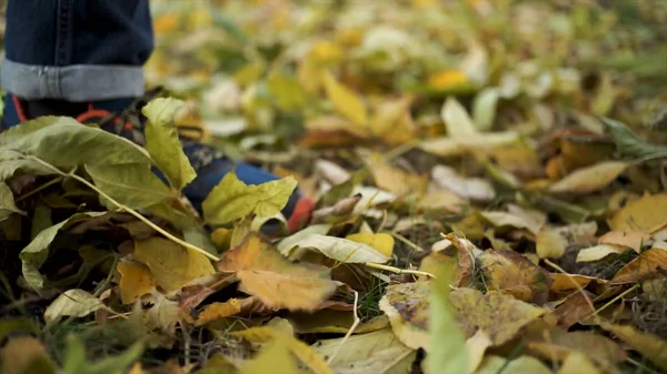 Nahaufnahme für Männerbeine, die im Park gegen Herbstblätter treten. Aktien. welke, gelbe Blätter, vom Bein eines Mannes in Turnschuhen getreten. — Stockfoto