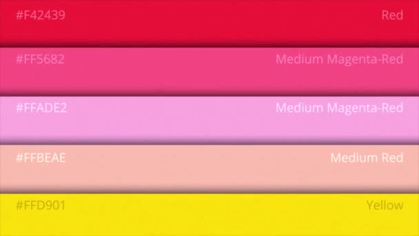 Animazione tavolozza colori. Codice colore — Video Stock