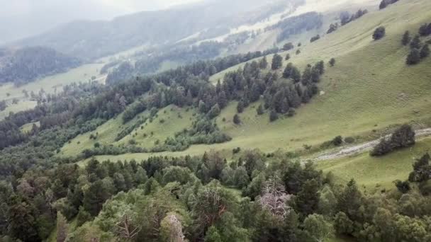 Flygfoto. Flygning över en gröna gräsbevuxna steniga kullar. Flyger över de höga bergen i vackra moln — Stockvideo