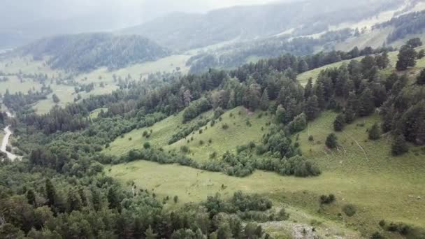Вид з повітря. Політ над зеленими трав'янистими скелястими пагорбами. Літаючи над високими горами в красивих хмарах — стокове відео