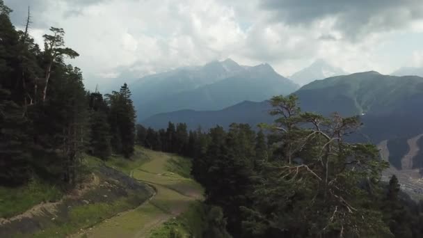 Vista aérea de las montañas en la costa cubierta de bosque de pinos. Vista aérea del hermoso paisaje montañoso. Vista de árboles verdes de verano, nubes y montañas — Vídeos de Stock