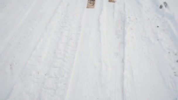 Військові на лижах з за зброєю. Кліп. Група солдатів на лижах в лісі — стокове відео