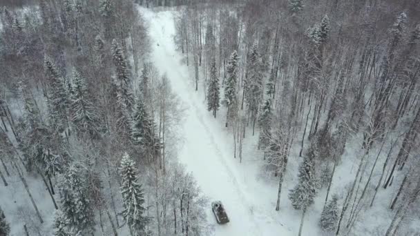 Militära Apc i skogen under militära övningar. Klipp. Ovanifrån av militära pansarfordon i skogen på vintern — Stockvideo