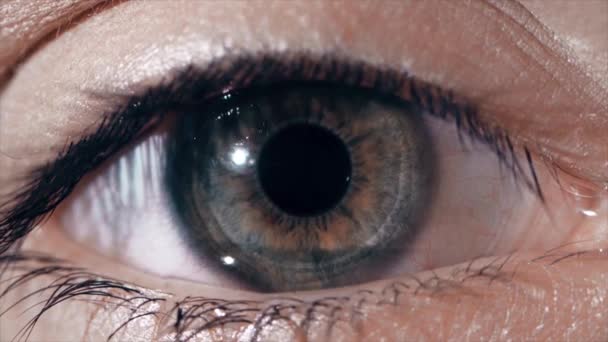 Human Eye Scan Technology Interface Animation. Close-up of high tech cyber eye