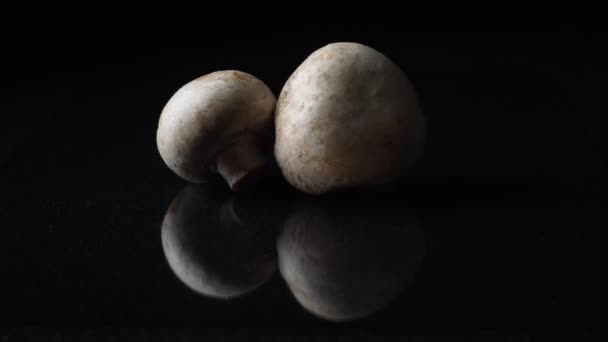 Witte champignons champignons geheel op zwarte achtergrond. Frame. Champignons op zwarte achtergrond. Geheel paddestoelen draaien op de achtergrond van de zwarte spiegel — Stockvideo