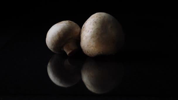 Champignons mit weißen Pilzen ganz auf schwarzem Hintergrund. Rahmen. Champignons auf schwarzem Hintergrund. ganze Pilze rotieren auf schwarzem Spiegelhintergrund — Stockvideo