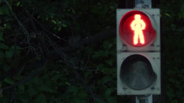 Stoplicht met groen licht en veilig te verplaatsen. Stoplicht in de stad. Verkeerslicht veranderende kleur — Stockvideo