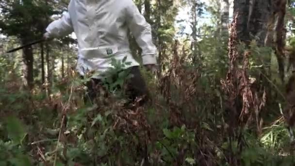 Uomo escursionista in giacca bianca camminare tronco erba lunga con grande coltello. Un filmato. Maschio cercando di ottenere attraverso l'erba alta e appassita, oscillando il coltello per spianare la strada . — Video Stock