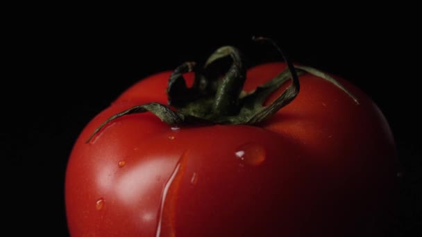 Trickling down tomato. Frame. Closeup of the red tomato with drops of water on the black background — Stock Video