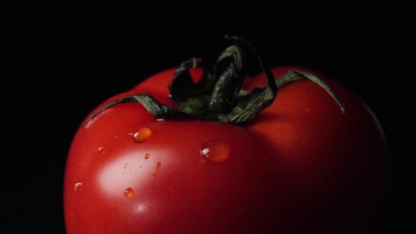 Ścieka pomidor. Ramki. Zbliżenie czerwony pomidor z krople wody na czarnym tle — Wideo stockowe