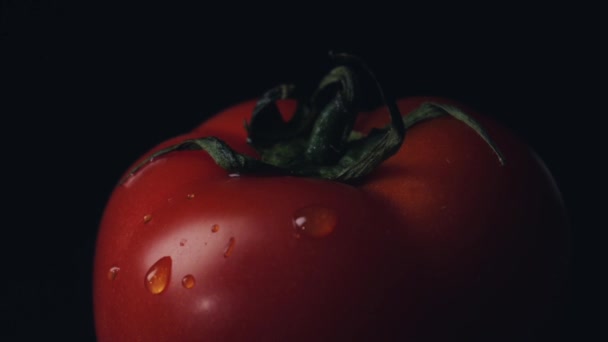 Goteando tomate. Una trampa. Primer plano del tomate rojo con gotas de agua sobre el fondo negro — Vídeos de Stock