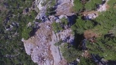 Dağ hava video en iyi görünümü. Vurdu. Taş, çam ağaçları, üstten görünüm