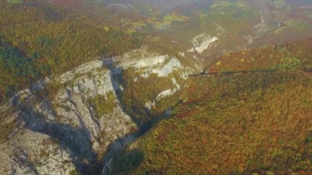 Cor de outono forrest em montanhas. Atingido. Voando sobre bela floresta de montanha — Vídeo de Stock