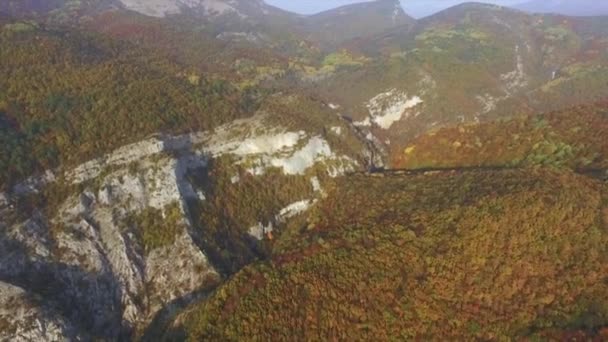 秋カラー山フォレスト。ショット。美しい山の森林上空 — ストック動画