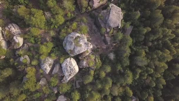 Pedras de pé e bela vista na floresta, vista superior. Clipe. Pedra entre pinheiros altos contra o pano de fundo de uma floresta de abetos densamente coberta — Vídeo de Stock