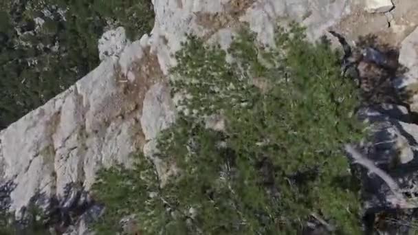Aerial video av berg ovanifrån. Skott. Rock, pinjeträd, ovanifrån — Stockvideo