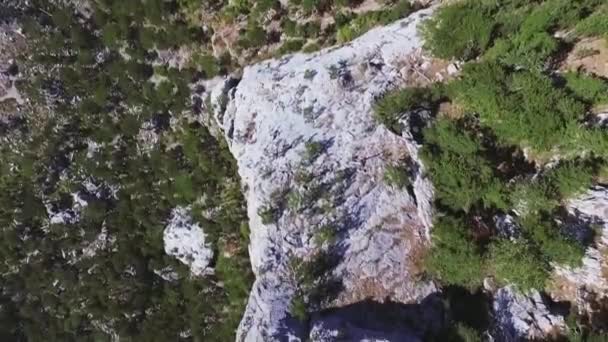 Воздушное видео с видом на горы. Выстрел. Камень, сосны, вид сверху — стоковое видео