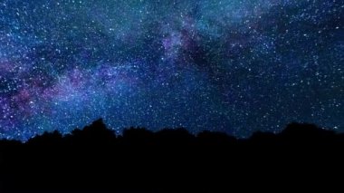 Samanyolu ağaçların arkasından görünür. Perseid Meteor yağmuru Bristlecone Samanyolu Timelapse. Gece gökyüzü animasyon