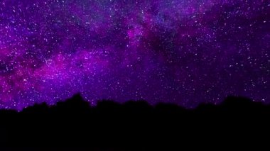 Samanyolu ağaçların arkasından görünür. Perseid Meteor yağmuru Bristlecone Samanyolu Timelapse. Gece gökyüzü animasyon
