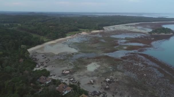 Cays ve denizde sığ turkuaz suları arasında bir ormanların hareketli ileri havadan görünümü. Vurdu. Gündoğumu saatleri içinde tropikal bir ada üzerinde hava — Stok video