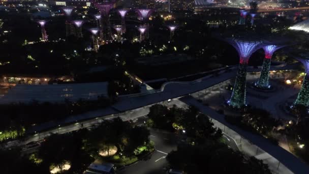 SINGAPORE - JUNE 13, 2018: Amazing aerial of Supertree Grove in the Graden by the Bay at night Singapore. Shot — Stock Video