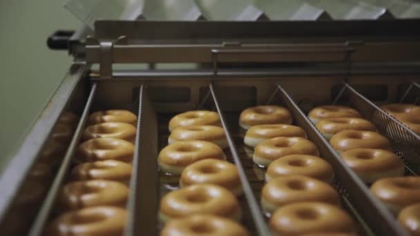 A fritar donuts de perto. Cena. Donuts são assados na fábrica de padaria — Vídeo de Stock