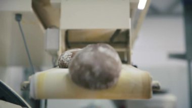 Ekmek üretim hattı. Sahne. Gıda fabrika Konveyör bant. Satır gıda fabrikasında üretim üzerinde somun ekmek. Konveyör bant üzerine ekmek