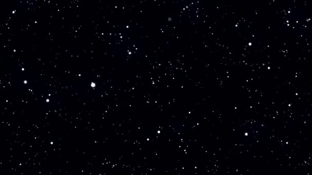 Absztrakt pislákoló fény por részecskéket. Stardust, fények, animáció — Stock videók