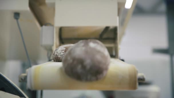 Linha de produção de pão. Cena. Correia transportadora de fábrica de alimentos. Pão de pão na linha de fabricação na fábrica de alimentos. Pão na correia transportadora — Vídeo de Stock