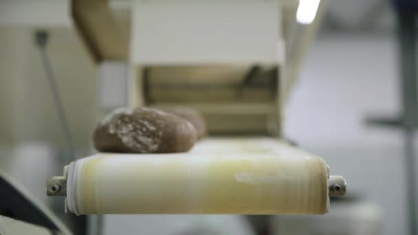 Linha de produção de pão. Cena. Correia transportadora de fábrica de alimentos. Pão de pão na linha de fabricação na fábrica de alimentos. Pão na correia transportadora — Vídeo de Stock