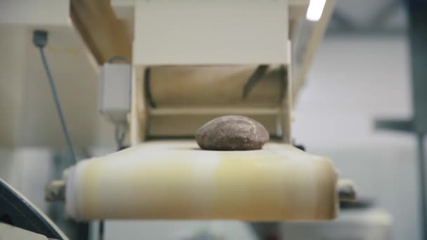 パン生産ライン。シーン。食品工場のコンベア ベルト。パン食品工場のラインを製造。ベルトコンベアでパンを一斤 — ストック動画