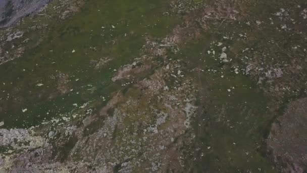 Grupo de pessoas em passeios a cavalo nas montanhas de Altai, vista superior. Clipe. Grupo turístico de pessoas a cavalo se move ao longo dos campos e montanhas — Vídeo de Stock