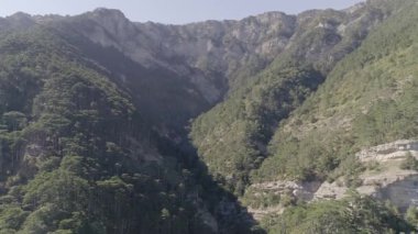 Dağların güzel manzara. Dağ orman havadan görünümü