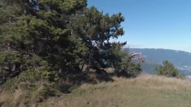 Dağlar peyzaj dağlar Hill. Vurdu. Ismarlayarak mavi gökyüzü karşı