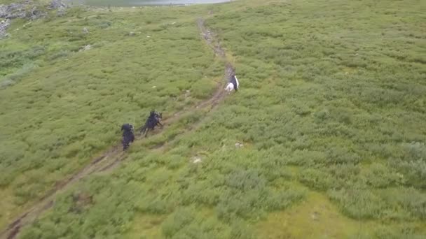 La chasse à cheval dans la vallée, vue aérienne. Clip. Scène de chasse à cheval — Video