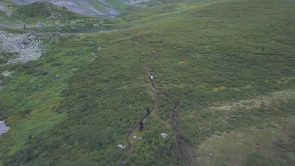 La persecución a caballo en el valle, vista aérea. Clip. Escena de persecución a caballo — Vídeos de Stock