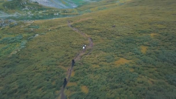 La persecución a caballo en el valle, vista aérea. Clip. Escena de persecución a caballo — Vídeos de Stock