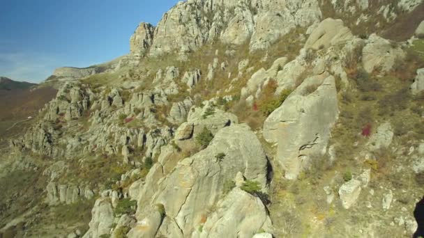 Vista aérea de los acantilados de roca. Le dispararon. Montañas rocosas y árboles — Vídeo de stock