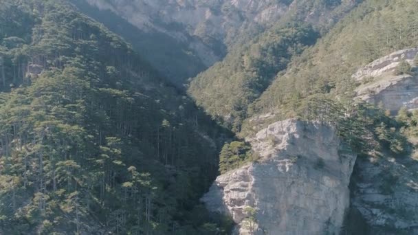 Beautiful landscape of mountains. Aerial view of mountain forest — Stock Video