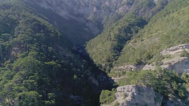 Beautiful landscape of mountains. Aerial view of mountain forest — Stock Video