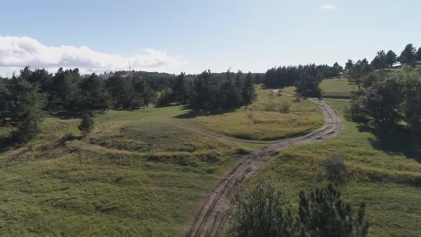 Malowniczą ścieżką na łące między drzewami. Strzał. Aerial krajobraz przepięknej okolicy — Wideo stockowe