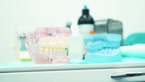 Close-up of pink and blue dentures in a dentist cabinet. Prosthetic appliance. — Stock Video