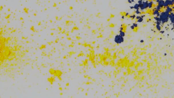 우유에 다채로운 분말 페인트입니다. 미디어입니다. 페인트 드롭에서 액체 표면에 물질의 화학 반응 — 비디오
