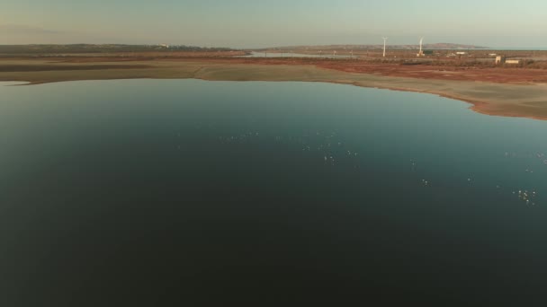 背景に風車と滑らかな暗い水面、鳥や湖の海岸の空中ビュー。ショット。美しい朝の風景. — ストック動画