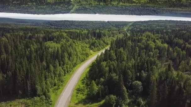 Luchtfoto van een gebogen lege weg in een bos in een zomerdag, horizon spiegeleffect. Groene Woud landweg, weergave above, aanvang thema. — Stockvideo