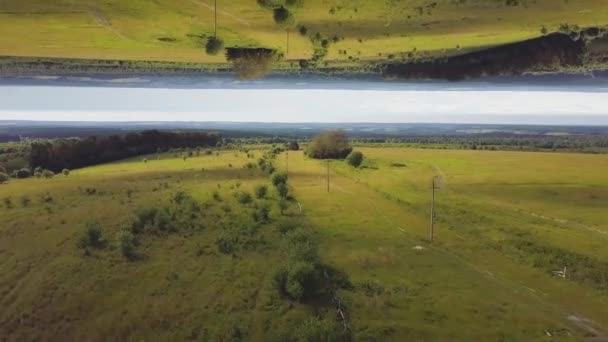 Вид с воздуха на красивый зеленый луг с деревьями и кустами в солнечный летний день, эффект зеркального горизонта. Потрясающий пейзаж зеленого поля и леса, тема инсептиции . — стоковое видео