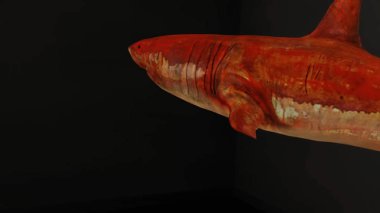 Kırmızı köpekbalığı siyah boya ile bir çerçeve dışında yüzme ile soyut 3d animasyon. Resim çerçevesi, çağdaş sanat kavramı ile siyah duvar görünmesini tehlikeli köpekbalığı kırmızı hologram.