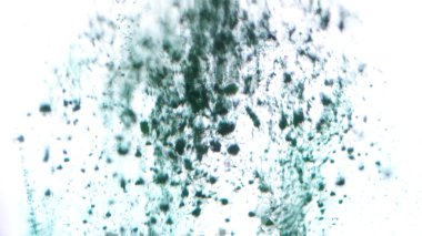 Düşen suya, eriterek ve beyaz arka plan üzerinde boyama turkuaz kuru mürekkep. Aqua mavi renk boya soyut bulut formasyonları oluşturma suya tepki.