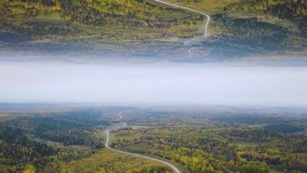 Letecký pohled na zakřivené prázdné silnici v lese v letní den, zrcadlo Horizont efektu. Zelený Les venkovské silnici, pohled shora, vzniku téma. — Stock video